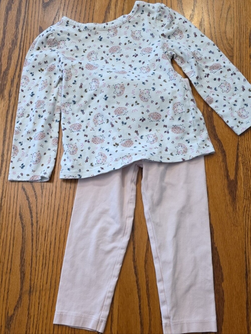 Monica + andy 3t pink leggings & hedgehog long sleeve top outfit set fall winter